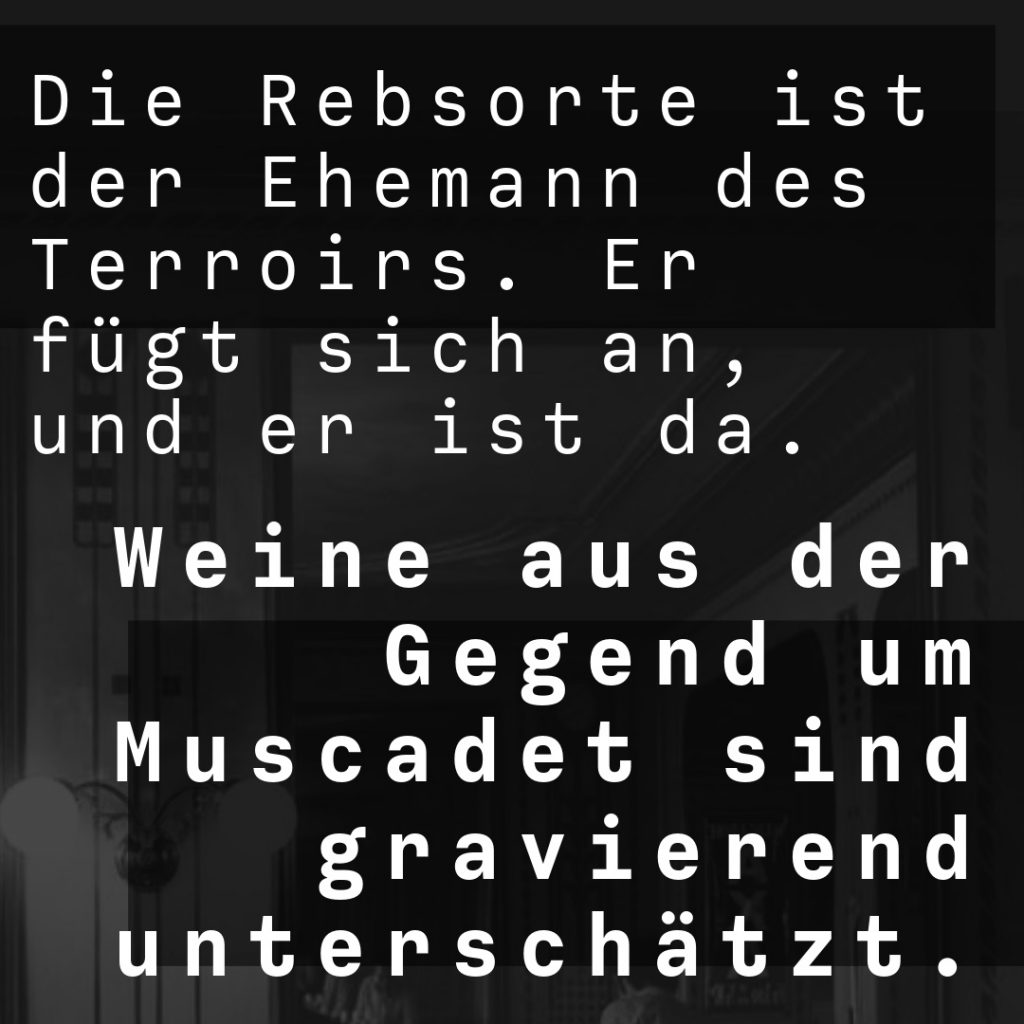 Weinexperte, Sommelier, Weinverkostung, Weinwissen, Weinblog, Weinmagazin, Weinliebhaber, Weinpodcast, Weinprobe, Weinreise, Weinjournalismus, Weinkultur, Weinszene, Weinbranche, Weinwirtschaft, Weinverkauf, Weingeschäft, Weingut, Weinherstellung, Weinproduktion, Winzer, Weinhändler, Weindegustation, Weinbewertung, Weinbeschreibung, Weinanalyse, Weinkritik, Weinsensorik, Weinverkostungsnotizen, Weinempfehlung, Weinführer, Weinkarte, Weintipps, Weinpreise, Weinbewertungen, Weinexpertenmeinung, Weinfachhandel, Weinauswahl, Weinkeller, Weinausbau, Weinreben, Weinbau, Terroir, Weinregion, Weinbaugebiet, Weinbauklima, Weinberge, Weinlese, Rebsorten, Weintrauben, Weißwein, Rotwein, Roséwein, Schaumwein, Sekt, Champagner, Naturwein, Bio-Wein, biodynamischer Wein, Orange Wine, Pet Nat, Süßwein, Dessertwein, Eiswein, Spätlese, Kabinett, Trockenbeerenauslese, Qualitätswein, Prädikatswein, Tafelwein, Landwein, Grand Cru, Premier Cru, Barrique, Holzfass, Edelstahltank, Weinlagerung, Weinreifung, Flaschenreifung, Dekantieren, Karaffieren, Weinservice, Weingläser, Weinzubehör, Weinzubehör kaufen, Weinlager, Weinshop, Online-Weinhandel, Weinbestellung, Weinempfehlungen, Weinpreise vergleichen, Weingeschenke, Weinpräsent, Weinveranstaltungen, Weinfestival, Weinmesse, Weinseminar, Weinprobe buchen, Online-Weinprobe, Virtuelle Weinprobe, Weinabend, Weinerlebnis, Wein & Speisen, Weinpairing, Foodpairing, Käse und Wein, Wein und Fleisch, Wein und Fisch, Veganer Wein, Vegetarische Weinbegleitung, Sommelier-Tipps, Weinlexikon, Weinwissen für Anfänger, Weinwissen für Fortgeschrittene, Wein online kaufen, Wein-Abo, Weinclub, Weinbar, Weinlokal, Weinrestaurant, Sternekoch und Wein, Gourmet-Wein, Luxuswein, Raritätenwein, Weinraritäten, Alte Weine, Weinlagerung zuhause, Weinkühlschrank, Weinsammlung, Wein als Investment, Weinauktionen, Weinpreise Entwicklung, Weintrends, Naturwein-Trend, Nachhaltiger Wein, Faire Weine, Low Intervention Wine, Wein Podcast, Wein-Influencer, Weinblogger, Weinkritiker, Weinbewertungen online, Weinvergleich, Weinmarketing, Weinbranding, Weinhandel digital, Direktimport Wein, Exklusive Weine, Boutique-Wein, Familienweingut, Weingüter Deutschland, Weingüter Frankreich, Weingüter Italien, Weingüter Spanien, Weingüter Österreich, Weingüter Portugal, Weingüter Kalifornien, Weingüter Australien, Weingüter Südafrika, Weinregion Bordeaux, Weinregion Burgund, Weinregion Toskana, Weinregion Rioja, Weinregion Mosel, Weinregion Rheingau, Weinregion Pfalz, Weinregion Wachau, Weinregion Mendoza, Weinregion Napa Valley, Weinregion Barossa Valley, Weinregion Stellenbosch, Weinregion Champagne, Weinregion Loire, Weinregion Chianti, Weinregion Priorat, Weinregion Douro, Weinregion Oregon, Weinregion Washington State, Weinregion Neuseeland, Spitzenweine, Fine Wine, Kultweine, Prestige-Weine, Weinspekulation, Weinrecht, Weinetikett, Weinflasche, Korken oder Schraubverschluss, Weinlagerkapazität, Weintemperatur, Serviertemperatur, Weinbelüftung, Weinoxidation, Weinchemie, Weinbiologie, Weinaromen, Weinaromatik, Geschmackskategorien Wein, Weinprofil, Weinsäure, Weintannin, Restzucker, Alkoholgehalt Wein, Schwefel im Wein, Sulfite im Wein, Weinfehler, korkiger Wein, Weinkristalle, Depot im Wein, Wein trübe, Wein dekantieren ja oder nein, Weingenuss, Weinphilosophie, Weinpassion.