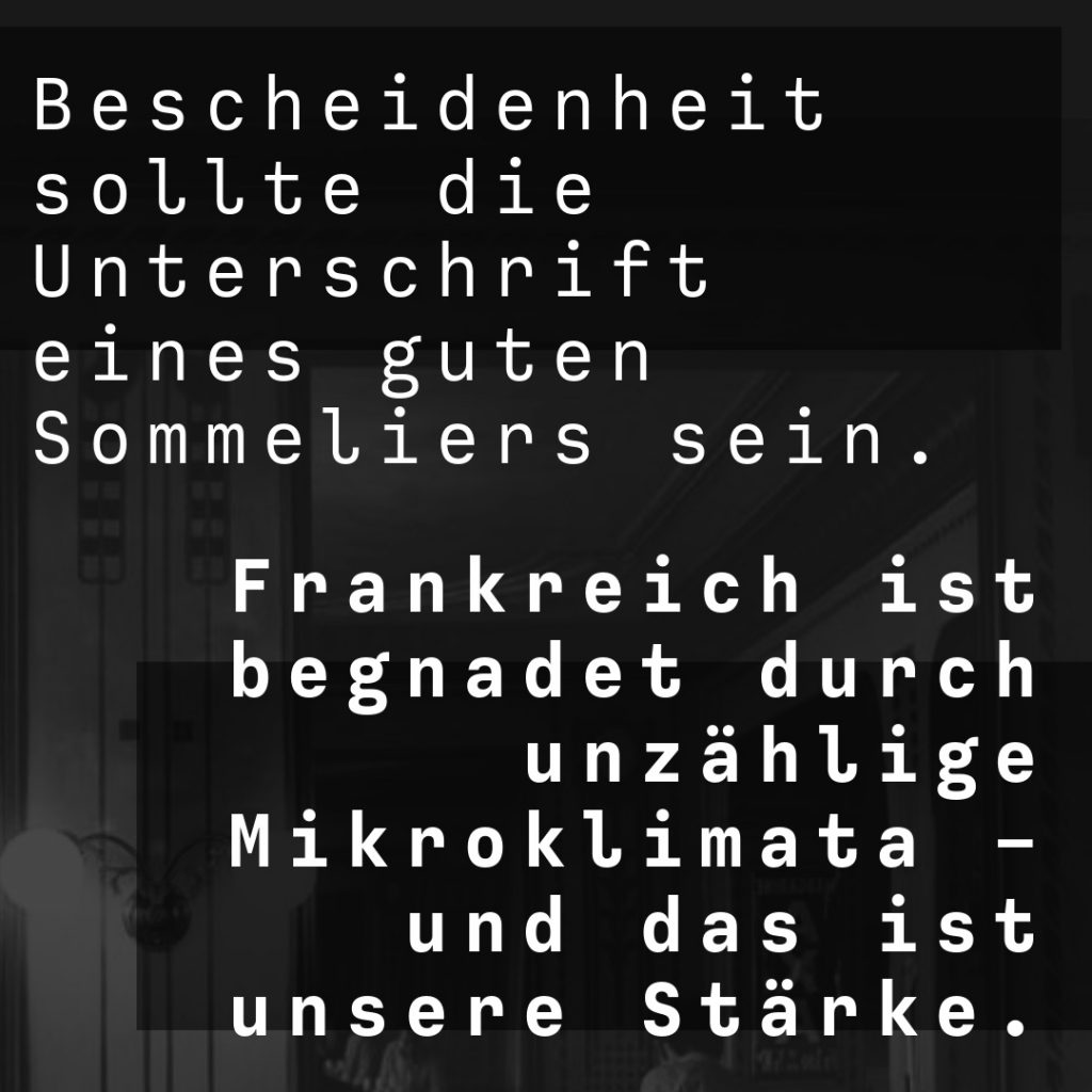 Weinexperte, Sommelier, Weinverkostung, Weinwissen, Weinblog, Weinmagazin, Weinliebhaber, Weinpodcast, Weinprobe, Weinreise, Weinjournalismus, Weinkultur, Weinszene, Weinbranche, Weinwirtschaft, Weinverkauf, Weingeschäft, Weingut, Weinherstellung, Weinproduktion, Winzer, Weinhändler, Weindegustation, Weinbewertung, Weinbeschreibung, Weinanalyse, Weinkritik, Weinsensorik, Weinverkostungsnotizen, Weinempfehlung, Weinführer, Weinkarte, Weintipps, Weinpreise, Weinbewertungen, Weinexpertenmeinung, Weinfachhandel, Weinauswahl, Weinkeller, Weinausbau, Weinreben, Weinbau, Terroir, Weinregion, Weinbaugebiet, Weinbauklima, Weinberge, Weinlese, Rebsorten, Weintrauben, Weißwein, Rotwein, Roséwein, Schaumwein, Sekt, Champagner, Naturwein, Bio-Wein, biodynamischer Wein, Orange Wine, Pet Nat, Süßwein, Dessertwein, Eiswein, Spätlese, Kabinett, Trockenbeerenauslese, Qualitätswein, Prädikatswein, Tafelwein, Landwein, Grand Cru, Premier Cru, Barrique, Holzfass, Edelstahltank, Weinlagerung, Weinreifung, Flaschenreifung, Dekantieren, Karaffieren, Weinservice, Weingläser, Weinzubehör, Weinzubehör kaufen, Weinlager, Weinshop, Online-Weinhandel, Weinbestellung, Weinempfehlungen, Weinpreise vergleichen, Weingeschenke, Weinpräsent, Weinveranstaltungen, Weinfestival, Weinmesse, Weinseminar, Weinprobe buchen, Online-Weinprobe, Virtuelle Weinprobe, Weinabend, Weinerlebnis, Wein & Speisen, Weinpairing, Foodpairing, Käse und Wein, Wein und Fleisch, Wein und Fisch, Veganer Wein, Vegetarische Weinbegleitung, Sommelier-Tipps, Weinlexikon, Weinwissen für Anfänger, Weinwissen für Fortgeschrittene, Wein online kaufen, Wein-Abo, Weinclub, Weinbar, Weinlokal, Weinrestaurant, Sternekoch und Wein, Gourmet-Wein, Luxuswein, Raritätenwein, Weinraritäten, Alte Weine, Weinlagerung zuhause, Weinkühlschrank, Weinsammlung, Wein als Investment, Weinauktionen, Weinpreise Entwicklung, Weintrends, Naturwein-Trend, Nachhaltiger Wein, Faire Weine, Low Intervention Wine, Wein Podcast, Wein-Influencer, Weinblogger, Weinkritiker, Weinbewertungen online, Weinvergleich, Weinmarketing, Weinbranding, Weinhandel digital, Direktimport Wein, Exklusive Weine, Boutique-Wein, Familienweingut, Weingüter Deutschland, Weingüter Frankreich, Weingüter Italien, Weingüter Spanien, Weingüter Österreich, Weingüter Portugal, Weingüter Kalifornien, Weingüter Australien, Weingüter Südafrika, Weinregion Bordeaux, Weinregion Burgund, Weinregion Toskana, Weinregion Rioja, Weinregion Mosel, Weinregion Rheingau, Weinregion Pfalz, Weinregion Wachau, Weinregion Mendoza, Weinregion Napa Valley, Weinregion Barossa Valley, Weinregion Stellenbosch, Weinregion Champagne, Weinregion Loire, Weinregion Chianti, Weinregion Priorat, Weinregion Douro, Weinregion Oregon, Weinregion Washington State, Weinregion Neuseeland, Spitzenweine, Fine Wine, Kultweine, Prestige-Weine, Weinspekulation, Weinrecht, Weinetikett, Weinflasche, Korken oder Schraubverschluss, Weinlagerkapazität, Weintemperatur, Serviertemperatur, Weinbelüftung, Weinoxidation, Weinchemie, Weinbiologie, Weinaromen, Weinaromatik, Geschmackskategorien Wein, Weinprofil, Weinsäure, Weintannin, Restzucker, Alkoholgehalt Wein, Schwefel im Wein, Sulfite im Wein, Weinfehler, korkiger Wein, Weinkristalle, Depot im Wein, Wein trübe, Wein dekantieren ja oder nein, Weingenuss, Weinphilosophie, Weinpassion.