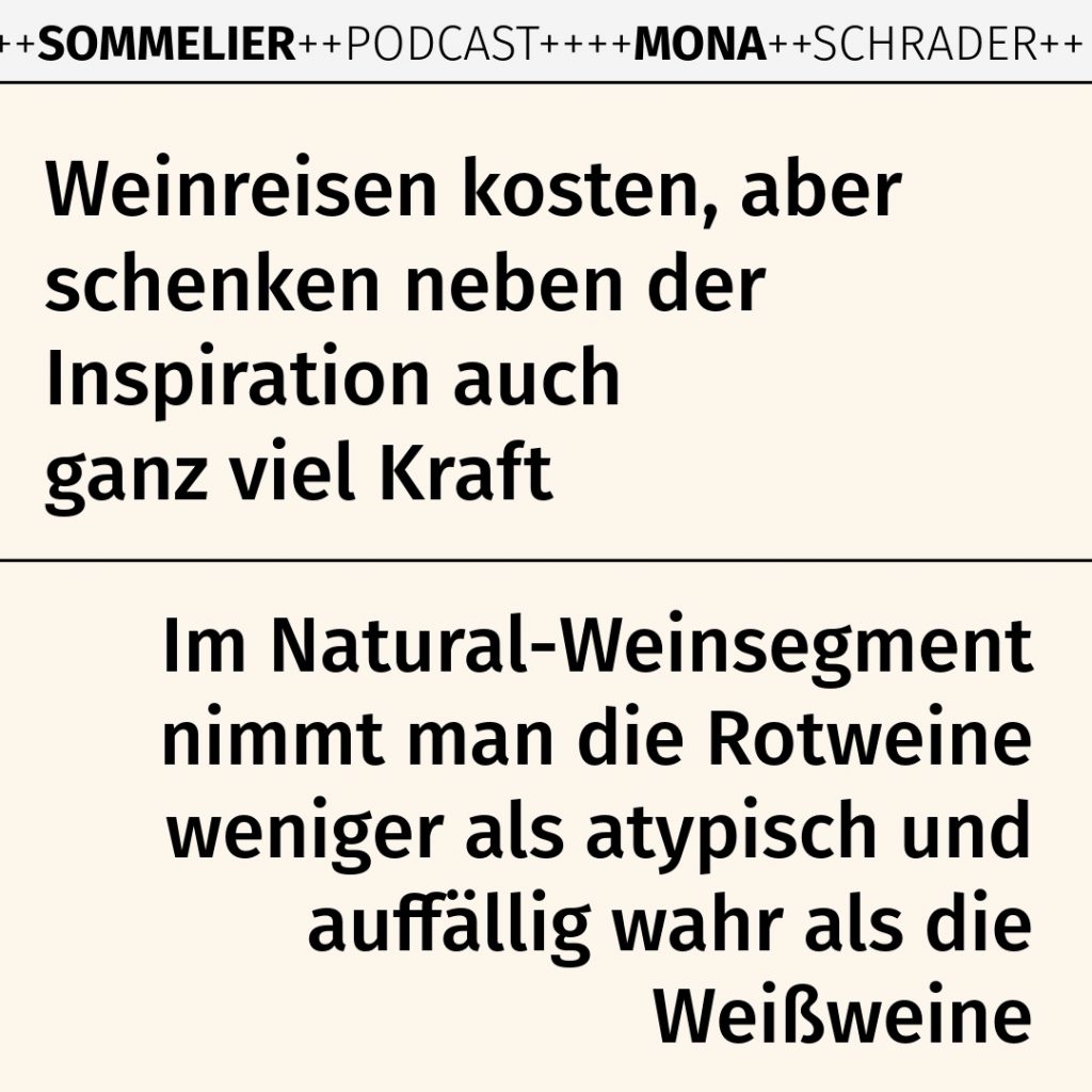 Weinexperte, Sommelier, Weinverkostung, Weinwissen, Weinblog, Weinmagazin, Weinliebhaber, Weinpodcast, Weinprobe, Weinreise, Weinjournalismus, Weinkultur, Weinszene, Weinbranche, Weinwirtschaft, Weinverkauf, Weingeschäft, Weingut, Weinherstellung, Weinproduktion, Winzer, Weinhändler, Weindegustation, Weinbewertung, Weinbeschreibung, Weinanalyse, Weinkritik, Weinsensorik, Weinverkostungsnotizen, Weinempfehlung, Weinführer, Weinkarte, Weintipps, Weinpreise, Weinbewertungen, Weinexpertenmeinung, Weinfachhandel, Weinauswahl, Weinkeller, Weinausbau, Weinreben, Weinbau, Terroir, Weinregion, Weinbaugebiet, Weinbauklima, Weinberge, Weinlese, Rebsorten, Weintrauben, Weißwein, Rotwein, Roséwein, Schaumwein, Sekt, Champagner, Naturwein, Bio-Wein, biodynamischer Wein, Orange Wine, Pet Nat, Süßwein, Dessertwein, Eiswein, Spätlese, Kabinett, Trockenbeerenauslese, Qualitätswein, Prädikatswein, Tafelwein, Landwein, Grand Cru, Premier Cru, Barrique, Holzfass, Edelstahltank, Weinlagerung, Weinreifung, Flaschenreifung, Dekantieren, Karaffieren, Weinservice, Weingläser, Weinzubehör, Weinzubehör kaufen, Weinlager, Weinshop, Online-Weinhandel, Weinbestellung, Weinempfehlungen, Weinpreise vergleichen, Weingeschenke, Weinpräsent, Weinveranstaltungen, Weinfestival, Weinmesse, Weinseminar, Weinprobe buchen, Online-Weinprobe, Virtuelle Weinprobe, Weinabend, Weinerlebnis, Wein & Speisen, Weinpairing, Foodpairing, Käse und Wein, Wein und Fleisch, Wein und Fisch, Veganer Wein, Vegetarische Weinbegleitung, Sommelier-Tipps, Weinlexikon, Weinwissen für Anfänger, Weinwissen für Fortgeschrittene, Wein online kaufen, Wein-Abo, Weinclub, Weinbar, Weinlokal, Weinrestaurant, Sternekoch und Wein, Gourmet-Wein, Luxuswein, Raritätenwein, Weinraritäten, Alte Weine, Weinlagerung zuhause, Weinkühlschrank, Weinsammlung, Wein als Investment, Weinauktionen, Weinpreise Entwicklung, Weintrends, Naturwein-Trend, Nachhaltiger Wein, Faire Weine, Low Intervention Wine, Wein Podcast, Wein-Influencer, Weinblogger, Weinkritiker, Weinbewertungen online, Weinvergleich, Weinmarketing, Weinbranding, Weinhandel digital, Direktimport Wein, Exklusive Weine, Boutique-Wein, Familienweingut, Weingüter Deutschland, Weingüter Frankreich, Weingüter Italien, Weingüter Spanien, Weingüter Österreich, Weingüter Portugal, Weingüter Kalifornien, Weingüter Australien, Weingüter Südafrika, Weinregion Bordeaux, Weinregion Burgund, Weinregion Toskana, Weinregion Rioja, Weinregion Mosel, Weinregion Rheingau, Weinregion Pfalz, Weinregion Wachau, Weinregion Mendoza, Weinregion Napa Valley, Weinregion Barossa Valley, Weinregion Stellenbosch, Weinregion Champagne, Weinregion Loire, Weinregion Chianti, Weinregion Priorat, Weinregion Douro, Weinregion Oregon, Weinregion Washington State, Weinregion Neuseeland, Spitzenweine, Fine Wine, Kultweine, Prestige-Weine, Weinspekulation, Weinrecht, Weinetikett, Weinflasche, Korken oder Schraubverschluss, Weinlagerkapazität, Weintemperatur, Serviertemperatur, Weinbelüftung, Weinoxidation, Weinchemie, Weinbiologie, Weinaromen, Weinaromatik, Geschmackskategorien Wein, Weinprofil, Weinsäure, Weintannin, Restzucker, Alkoholgehalt Wein, Schwefel im Wein, Sulfite im Wein, Weinfehler, korkiger Wein, Weinkristalle, Depot im Wein, Wein trübe, Wein dekantieren ja oder nein, Weingenuss, Weinphilosophie, Weinpassion.