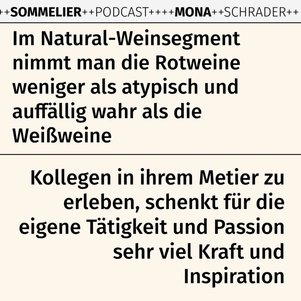 Weinexperte, Sommelier, Weinverkostung, Weinwissen, Weinblog, Weinmagazin, Weinliebhaber, Weinpodcast, Weinprobe, Weinreise, Weinjournalismus, Weinkultur, Weinszene, Weinbranche, Weinwirtschaft, Weinverkauf, Weingeschäft, Weingut, Weinherstellung, Weinproduktion, Winzer, Weinhändler, Weindegustation, Weinbewertung, Weinbeschreibung, Weinanalyse, Weinkritik, Weinsensorik, Weinverkostungsnotizen, Weinempfehlung, Weinführer, Weinkarte, Weintipps, Weinpreise, Weinbewertungen, Weinexpertenmeinung, Weinfachhandel, Weinauswahl, Weinkeller, Weinausbau, Weinreben, Weinbau, Terroir, Weinregion, Weinbaugebiet, Weinbauklima, Weinberge, Weinlese, Rebsorten, Weintrauben, Weißwein, Rotwein, Roséwein, Schaumwein, Sekt, Champagner, Naturwein, Bio-Wein, biodynamischer Wein, Orange Wine, Pet Nat, Süßwein, Dessertwein, Eiswein, Spätlese, Kabinett, Trockenbeerenauslese, Qualitätswein, Prädikatswein, Tafelwein, Landwein, Grand Cru, Premier Cru, Barrique, Holzfass, Edelstahltank, Weinlagerung, Weinreifung, Flaschenreifung, Dekantieren, Karaffieren, Weinservice, Weingläser, Weinzubehör, Weinzubehör kaufen, Weinlager, Weinshop, Online-Weinhandel, Weinbestellung, Weinempfehlungen, Weinpreise vergleichen, Weingeschenke, Weinpräsent, Weinveranstaltungen, Weinfestival, Weinmesse, Weinseminar, Weinprobe buchen, Online-Weinprobe, Virtuelle Weinprobe, Weinabend, Weinerlebnis, Wein & Speisen, Weinpairing, Foodpairing, Käse und Wein, Wein und Fleisch, Wein und Fisch, Veganer Wein, Vegetarische Weinbegleitung, Sommelier-Tipps, Weinlexikon, Weinwissen für Anfänger, Weinwissen für Fortgeschrittene, Wein online kaufen, Wein-Abo, Weinclub, Weinbar, Weinlokal, Weinrestaurant, Sternekoch und Wein, Gourmet-Wein, Luxuswein, Raritätenwein, Weinraritäten, Alte Weine, Weinlagerung zuhause, Weinkühlschrank, Weinsammlung, Wein als Investment, Weinauktionen, Weinpreise Entwicklung, Weintrends, Naturwein-Trend, Nachhaltiger Wein, Faire Weine, Low Intervention Wine, Wein Podcast, Wein-Influencer, Weinblogger, Weinkritiker, Weinbewertungen online, Weinvergleich, Weinmarketing, Weinbranding, Weinhandel digital, Direktimport Wein, Exklusive Weine, Boutique-Wein, Familienweingut, Weingüter Deutschland, Weingüter Frankreich, Weingüter Italien, Weingüter Spanien, Weingüter Österreich, Weingüter Portugal, Weingüter Kalifornien, Weingüter Australien, Weingüter Südafrika, Weinregion Bordeaux, Weinregion Burgund, Weinregion Toskana, Weinregion Rioja, Weinregion Mosel, Weinregion Rheingau, Weinregion Pfalz, Weinregion Wachau, Weinregion Mendoza, Weinregion Napa Valley, Weinregion Barossa Valley, Weinregion Stellenbosch, Weinregion Champagne, Weinregion Loire, Weinregion Chianti, Weinregion Priorat, Weinregion Douro, Weinregion Oregon, Weinregion Washington State, Weinregion Neuseeland, Spitzenweine, Fine Wine, Kultweine, Prestige-Weine, Weinspekulation, Weinrecht, Weinetikett, Weinflasche, Korken oder Schraubverschluss, Weinlagerkapazität, Weintemperatur, Serviertemperatur, Weinbelüftung, Weinoxidation, Weinchemie, Weinbiologie, Weinaromen, Weinaromatik, Geschmackskategorien Wein, Weinprofil, Weinsäure, Weintannin, Restzucker, Alkoholgehalt Wein, Schwefel im Wein, Sulfite im Wein, Weinfehler, korkiger Wein, Weinkristalle, Depot im Wein, Wein trübe, Wein dekantieren ja oder nein, Weingenuss, Weinphilosophie, Weinpassion.