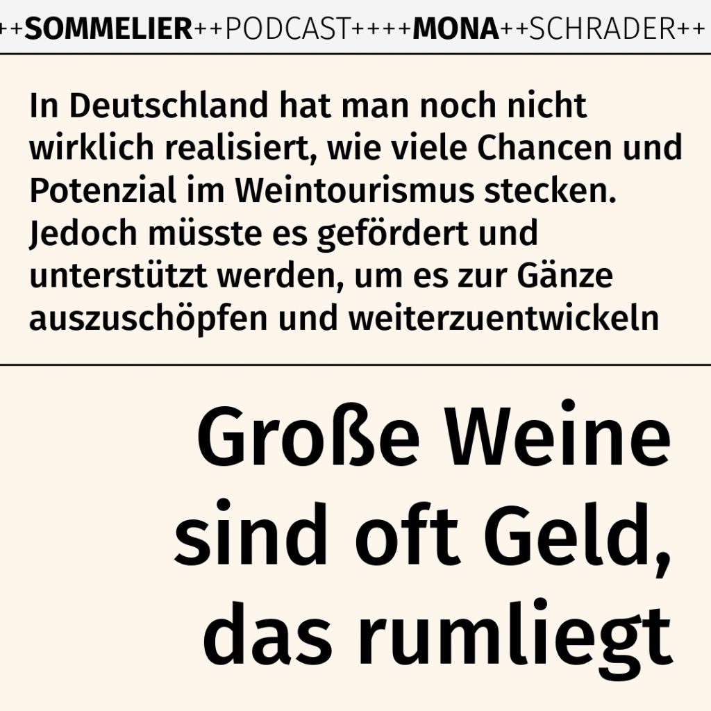 Weinexperte, Sommelier, Weinverkostung, Weinwissen, Weinblog, Weinmagazin, Weinliebhaber, Weinpodcast, Weinprobe, Weinreise, Weinjournalismus, Weinkultur, Weinszene, Weinbranche, Weinwirtschaft, Weinverkauf, Weingeschäft, Weingut, Weinherstellung, Weinproduktion, Winzer, Weinhändler, Weindegustation, Weinbewertung, Weinbeschreibung, Weinanalyse, Weinkritik, Weinsensorik, Weinverkostungsnotizen, Weinempfehlung, Weinführer, Weinkarte, Weintipps, Weinpreise, Weinbewertungen, Weinexpertenmeinung, Weinfachhandel, Weinauswahl, Weinkeller, Weinausbau, Weinreben, Weinbau, Terroir, Weinregion, Weinbaugebiet, Weinbauklima, Weinberge, Weinlese, Rebsorten, Weintrauben, Weißwein, Rotwein, Roséwein, Schaumwein, Sekt, Champagner, Naturwein, Bio-Wein, biodynamischer Wein, Orange Wine, Pet Nat, Süßwein, Dessertwein, Eiswein, Spätlese, Kabinett, Trockenbeerenauslese, Qualitätswein, Prädikatswein, Tafelwein, Landwein, Grand Cru, Premier Cru, Barrique, Holzfass, Edelstahltank, Weinlagerung, Weinreifung, Flaschenreifung, Dekantieren, Karaffieren, Weinservice, Weingläser, Weinzubehör, Weinzubehör kaufen, Weinlager, Weinshop, Online-Weinhandel, Weinbestellung, Weinempfehlungen, Weinpreise vergleichen, Weingeschenke, Weinpräsent, Weinveranstaltungen, Weinfestival, Weinmesse, Weinseminar, Weinprobe buchen, Online-Weinprobe, Virtuelle Weinprobe, Weinabend, Weinerlebnis, Wein & Speisen, Weinpairing, Foodpairing, Käse und Wein, Wein und Fleisch, Wein und Fisch, Veganer Wein, Vegetarische Weinbegleitung, Sommelier-Tipps, Weinlexikon, Weinwissen für Anfänger, Weinwissen für Fortgeschrittene, Wein online kaufen, Wein-Abo, Weinclub, Weinbar, Weinlokal, Weinrestaurant, Sternekoch und Wein, Gourmet-Wein, Luxuswein, Raritätenwein, Weinraritäten, Alte Weine, Weinlagerung zuhause, Weinkühlschrank, Weinsammlung, Wein als Investment, Weinauktionen, Weinpreise Entwicklung, Weintrends, Naturwein-Trend, Nachhaltiger Wein, Faire Weine, Low Intervention Wine, Wein Podcast, Wein-Influencer, Weinblogger, Weinkritiker, Weinbewertungen online, Weinvergleich, Weinmarketing, Weinbranding, Weinhandel digital, Direktimport Wein, Exklusive Weine, Boutique-Wein, Familienweingut, Weingüter Deutschland, Weingüter Frankreich, Weingüter Italien, Weingüter Spanien, Weingüter Österreich, Weingüter Portugal, Weingüter Kalifornien, Weingüter Australien, Weingüter Südafrika, Weinregion Bordeaux, Weinregion Burgund, Weinregion Toskana, Weinregion Rioja, Weinregion Mosel, Weinregion Rheingau, Weinregion Pfalz, Weinregion Wachau, Weinregion Mendoza, Weinregion Napa Valley, Weinregion Barossa Valley, Weinregion Stellenbosch, Weinregion Champagne, Weinregion Loire, Weinregion Chianti, Weinregion Priorat, Weinregion Douro, Weinregion Oregon, Weinregion Washington State, Weinregion Neuseeland, Spitzenweine, Fine Wine, Kultweine, Prestige-Weine, Weinspekulation, Weinrecht, Weinetikett, Weinflasche, Korken oder Schraubverschluss, Weinlagerkapazität, Weintemperatur, Serviertemperatur, Weinbelüftung, Weinoxidation, Weinchemie, Weinbiologie, Weinaromen, Weinaromatik, Geschmackskategorien Wein, Weinprofil, Weinsäure, Weintannin, Restzucker, Alkoholgehalt Wein, Schwefel im Wein, Sulfite im Wein, Weinfehler, korkiger Wein, Weinkristalle, Depot im Wein, Wein trübe, Wein dekantieren ja oder nein, Weingenuss, Weinphilosophie, Weinpassion.