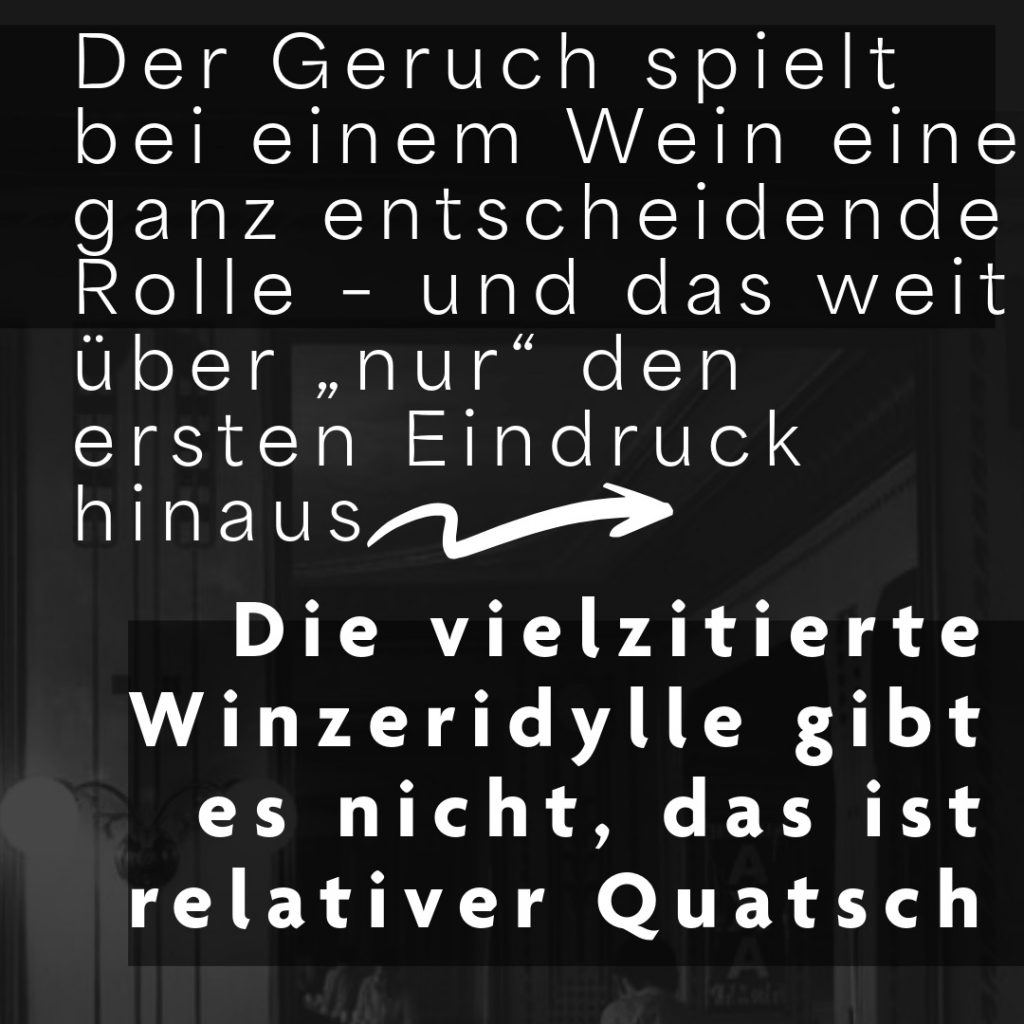 Weinexperte, Sommelier, Weinverkostung, Weinwissen, Weinblog, Weinmagazin, Weinliebhaber, Weinpodcast, Weinprobe, Weinreise, Weinjournalismus, Weinkultur, Weinszene, Weinbranche, Weinwirtschaft, Weinverkauf, Weingeschäft, Weingut, Weinherstellung, Weinproduktion, Winzer, Weinhändler, Weindegustation, Weinbewertung, Weinbeschreibung, Weinanalyse, Weinkritik, Weinsensorik, Weinverkostungsnotizen, Weinempfehlung, Weinführer, Weinkarte, Weintipps, Weinpreise, Weinbewertungen, Weinexpertenmeinung, Weinfachhandel, Weinauswahl, Weinkeller, Weinausbau, Weinreben, Weinbau, Terroir, Weinregion, Weinbaugebiet, Weinbauklima, Weinberge, Weinlese, Rebsorten, Weintrauben, Weißwein, Rotwein, Roséwein, Schaumwein, Sekt, Champagner, Naturwein, Bio-Wein, biodynamischer Wein, Orange Wine, Pet Nat, Süßwein, Dessertwein, Eiswein, Spätlese, Kabinett, Trockenbeerenauslese, Qualitätswein, Prädikatswein, Tafelwein, Landwein, Grand Cru, Premier Cru, Barrique, Holzfass, Edelstahltank, Weinlagerung, Weinreifung, Flaschenreifung, Dekantieren, Karaffieren, Weinservice, Weingläser, Weinzubehör, Weinzubehör kaufen, Weinlager, Weinshop, Online-Weinhandel, Weinbestellung, Weinempfehlungen, Weinpreise vergleichen, Weingeschenke, Weinpräsent, Weinveranstaltungen, Weinfestival, Weinmesse, Weinseminar, Weinprobe buchen, Online-Weinprobe, Virtuelle Weinprobe, Weinabend, Weinerlebnis, Wein & Speisen, Weinpairing, Foodpairing, Käse und Wein, Wein und Fleisch, Wein und Fisch, Veganer Wein, Vegetarische Weinbegleitung, Sommelier-Tipps, Weinlexikon, Weinwissen für Anfänger, Weinwissen für Fortgeschrittene, Wein online kaufen, Wein-Abo, Weinclub, Weinbar, Weinlokal, Weinrestaurant, Sternekoch und Wein, Gourmet-Wein, Luxuswein, Raritätenwein, Weinraritäten, Alte Weine, Weinlagerung zuhause, Weinkühlschrank, Weinsammlung, Wein als Investment, Weinauktionen, Weinpreise Entwicklung, Weintrends, Naturwein-Trend, Nachhaltiger Wein, Faire Weine, Low Intervention Wine, Wein Podcast, Wein-Influencer, Weinblogger, Weinkritiker, Weinbewertungen online, Weinvergleich, Weinmarketing, Weinbranding, Weinhandel digital, Direktimport Wein, Exklusive Weine, Boutique-Wein, Familienweingut, Weingüter Deutschland, Weingüter Frankreich, Weingüter Italien, Weingüter Spanien, Weingüter Österreich, Weingüter Portugal, Weingüter Kalifornien, Weingüter Australien, Weingüter Südafrika, Weinregion Bordeaux, Weinregion Burgund, Weinregion Toskana, Weinregion Rioja, Weinregion Mosel, Weinregion Rheingau, Weinregion Pfalz, Weinregion Wachau, Weinregion Mendoza, Weinregion Napa Valley, Weinregion Barossa Valley, Weinregion Stellenbosch, Weinregion Champagne, Weinregion Loire, Weinregion Chianti, Weinregion Priorat, Weinregion Douro, Weinregion Oregon, Weinregion Washington State, Weinregion Neuseeland, Spitzenweine, Fine Wine, Kultweine, Prestige-Weine, Weinspekulation, Weinrecht, Weinetikett, Weinflasche, Korken oder Schraubverschluss, Weinlagerkapazität, Weintemperatur, Serviertemperatur, Weinbelüftung, Weinoxidation, Weinchemie, Weinbiologie, Weinaromen, Weinaromatik, Geschmackskategorien Wein, Weinprofil, Weinsäure, Weintannin, Restzucker, Alkoholgehalt Wein, Schwefel im Wein, Sulfite im Wein, Weinfehler, korkiger Wein, Weinkristalle, Depot im Wein, Wein trübe, Wein dekantieren ja oder nein, Weingenuss, Weinphilosophie, Weinpassion.
