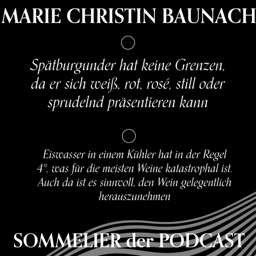 Weinexperte, Sommelier, Weinverkostung, Weinwissen, Weinblog, Weinmagazin, Weinliebhaber, Weinpodcast, Weinprobe, Weinreise, Weinjournalismus, Weinkultur, Weinszene, Weinbranche, Weinwirtschaft, Weinverkauf, Weingeschäft, Weingut, Weinherstellung, Weinproduktion, Winzer, Weinhändler, Weindegustation, Weinbewertung, Weinbeschreibung, Weinanalyse, Weinkritik, Weinsensorik, Weinverkostungsnotizen, Weinempfehlung, Weinführer, Weinkarte, Weintipps, Weinpreise, Weinbewertungen, Weinexpertenmeinung, Weinfachhandel, Weinauswahl, Weinkeller, Weinausbau, Weinreben, Weinbau, Terroir, Weinregion, Weinbaugebiet, Weinbauklima, Weinberge, Weinlese, Rebsorten, Weintrauben, Weißwein, Rotwein, Roséwein, Schaumwein, Sekt, Champagner, Naturwein, Bio-Wein, biodynamischer Wein, Orange Wine, Pet Nat, Süßwein, Dessertwein, Eiswein, Spätlese, Kabinett, Trockenbeerenauslese, Qualitätswein, Prädikatswein, Tafelwein, Landwein, Grand Cru, Premier Cru, Barrique, Holzfass, Edelstahltank, Weinlagerung, Weinreifung, Flaschenreifung, Dekantieren, Karaffieren, Weinservice, Weingläser, Weinzubehör, Weinzubehör kaufen, Weinlager, Weinshop, Online-Weinhandel, Weinbestellung, Weinempfehlungen, Weinpreise vergleichen, Weingeschenke, Weinpräsent, Weinveranstaltungen, Weinfestival, Weinmesse, Weinseminar, Weinprobe buchen, Online-Weinprobe, Virtuelle Weinprobe, Weinabend, Weinerlebnis, Wein & Speisen, Weinpairing, Foodpairing, Käse und Wein, Wein und Fleisch, Wein und Fisch, Veganer Wein, Vegetarische Weinbegleitung, Sommelier-Tipps, Weinlexikon, Weinwissen für Anfänger, Weinwissen für Fortgeschrittene, Wein online kaufen, Wein-Abo, Weinclub, Weinbar, Weinlokal, Weinrestaurant, Sternekoch und Wein, Gourmet-Wein, Luxuswein, Raritätenwein, Weinraritäten, Alte Weine, Weinlagerung zuhause, Weinkühlschrank, Weinsammlung, Wein als Investment, Weinauktionen, Weinpreise Entwicklung, Weintrends, Naturwein-Trend, Nachhaltiger Wein, Faire Weine, Low Intervention Wine, Wein Podcast, Wein-Influencer, Weinblogger, Weinkritiker, Weinbewertungen online, Weinvergleich, Weinmarketing, Weinbranding, Weinhandel digital, Direktimport Wein, Exklusive Weine, Boutique-Wein, Familienweingut, Weingüter Deutschland, Weingüter Frankreich, Weingüter Italien, Weingüter Spanien, Weingüter Österreich, Weingüter Portugal, Weingüter Kalifornien, Weingüter Australien, Weingüter Südafrika, Weinregion Bordeaux, Weinregion Burgund, Weinregion Toskana, Weinregion Rioja, Weinregion Mosel, Weinregion Rheingau, Weinregion Pfalz, Weinregion Wachau, Weinregion Mendoza, Weinregion Napa Valley, Weinregion Barossa Valley, Weinregion Stellenbosch, Weinregion Champagne, Weinregion Loire, Weinregion Chianti, Weinregion Priorat, Weinregion Douro, Weinregion Oregon, Weinregion Washington State, Weinregion Neuseeland, Spitzenweine, Fine Wine, Kultweine, Prestige-Weine, Weinspekulation, Weinrecht, Weinetikett, Weinflasche, Korken oder Schraubverschluss, Weinlagerkapazität, Weintemperatur, Serviertemperatur, Weinbelüftung, Weinoxidation, Weinchemie, Weinbiologie, Weinaromen, Weinaromatik, Geschmackskategorien Wein, Weinprofil, Weinsäure, Weintannin, Restzucker, Alkoholgehalt Wein, Schwefel im Wein, Sulfite im Wein, Weinfehler, korkiger Wein, Weinkristalle, Depot im Wein, Wein trübe, Wein dekantieren ja oder nein, Weingenuss, Weinphilosophie, Weinpassion.